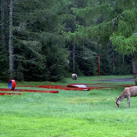 Bungalovy Pri Spojar